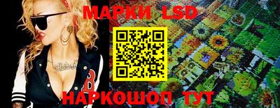 spice Новодвинск