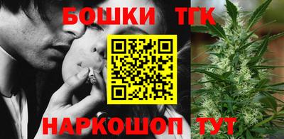 spice Новодвинск