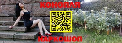 spice Новодвинск