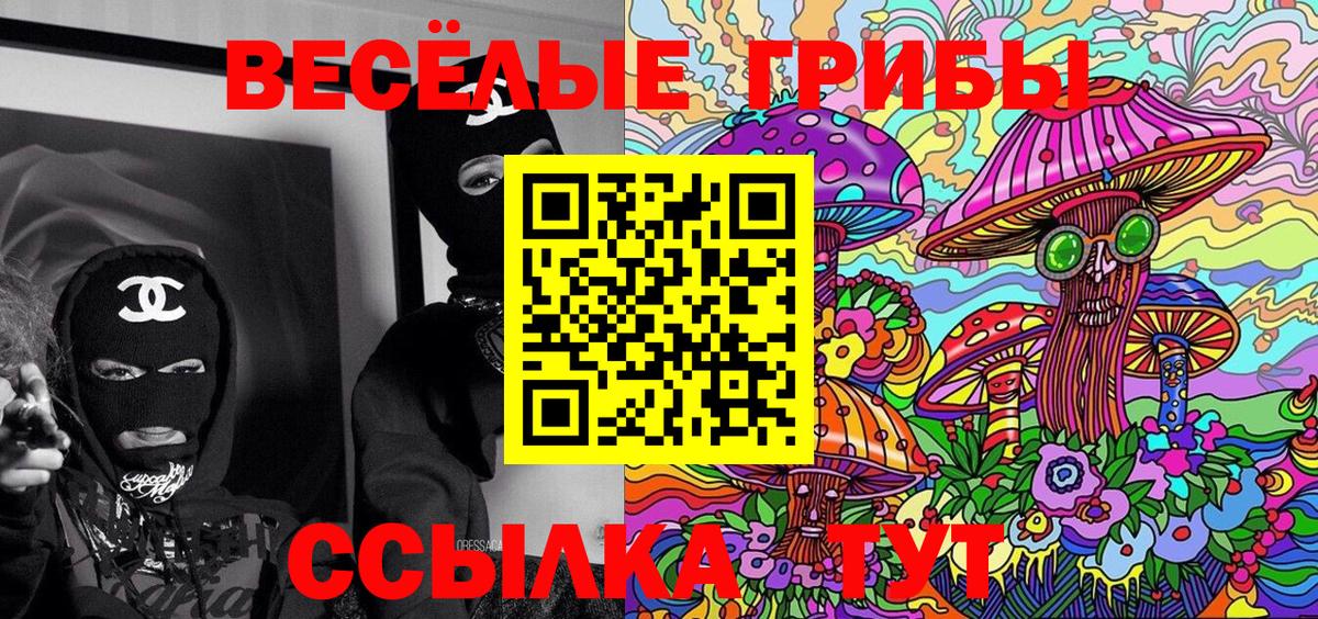 Псилоцибиновые грибы Psilocybe Сердобск