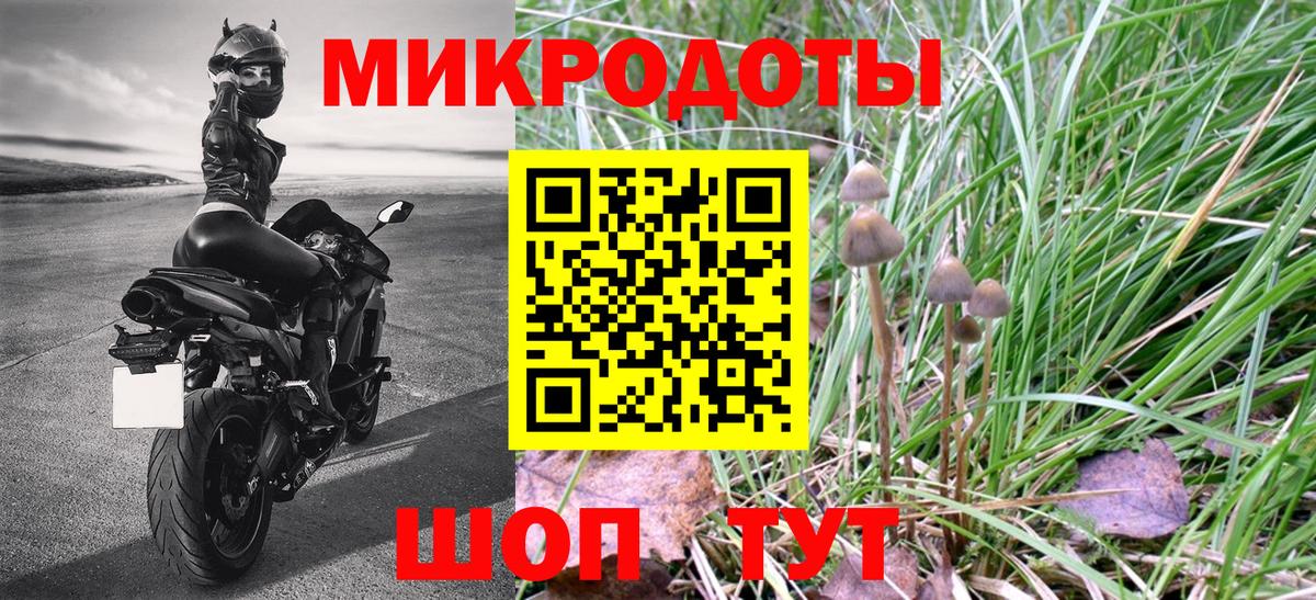 Сердобск  Галлюциногенные грибы GOLDEN TEACHER  сколько стоит  Вход с VPN 